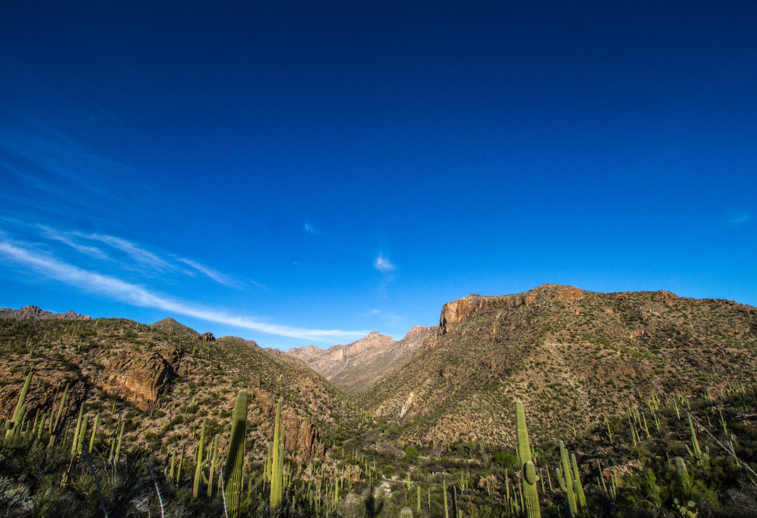Old Pueblo shutterbugs
